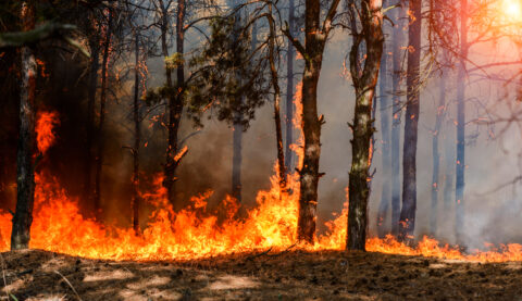 incendio